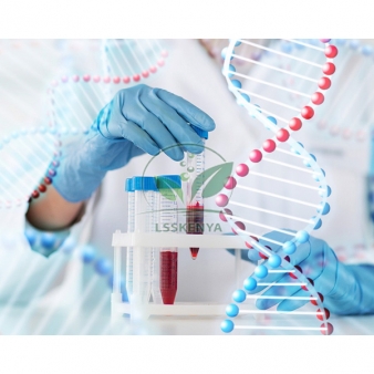 Biology Lab Equipment